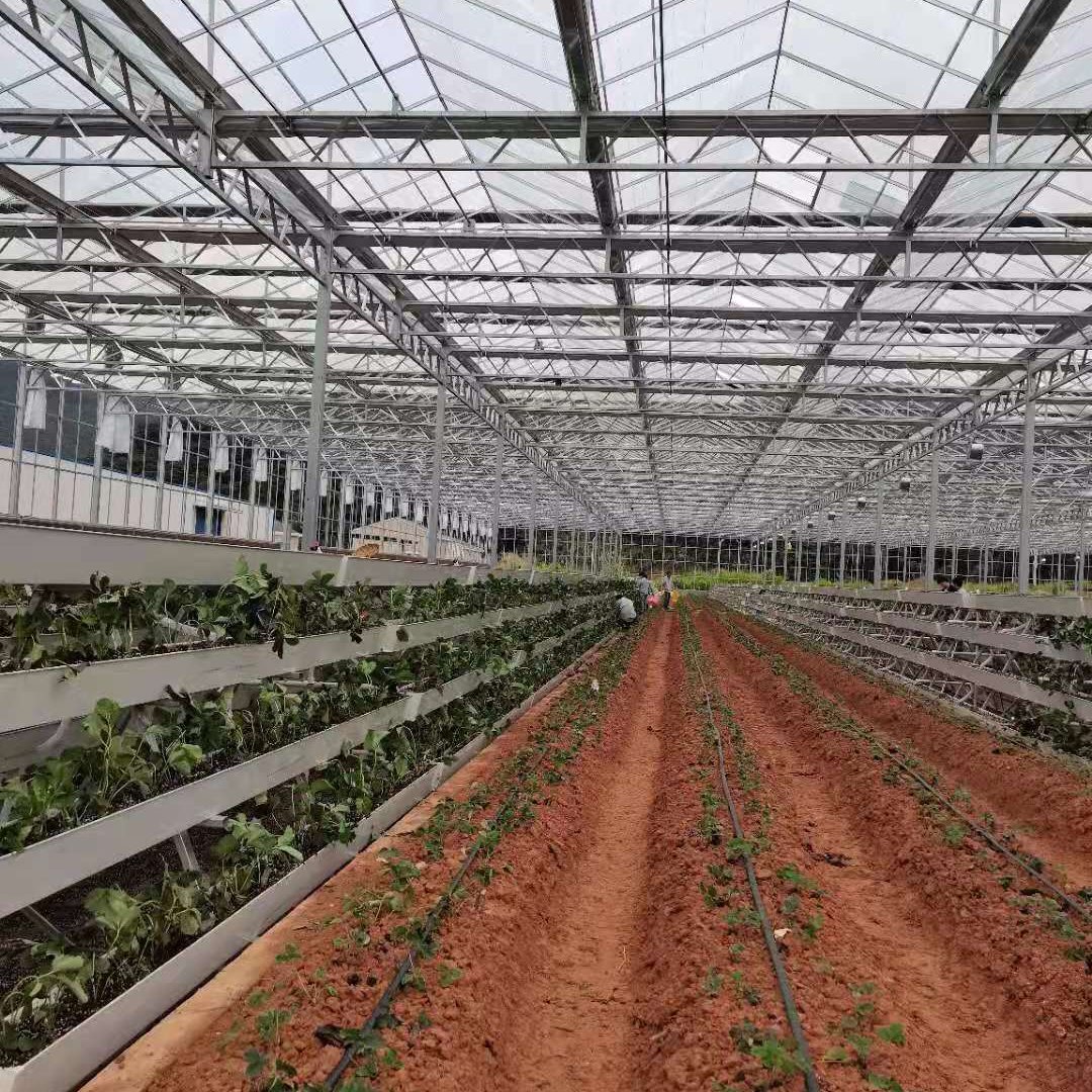 智能玻璃大棚 蔬菜花卉玻璃大棚 玻璃温室建设