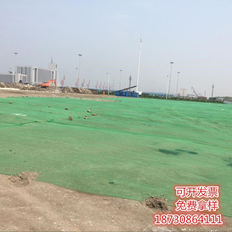 安平临边 盖土网厂家 现货 施工绿化盖土网 聚乙烯料