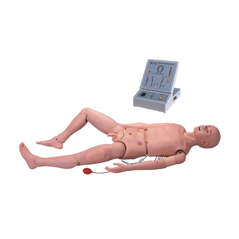 成人护理及CPR模型人实训考核装置  成人护理及CPR模型人实训设备 ​ 成人护理及CPR模型人综合实训台