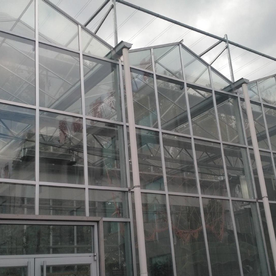 防腐苗圃玻璃温室  连栋玻璃温室  育苗玻璃温室  博伟