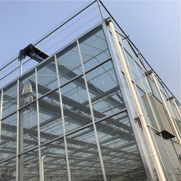 玻璃大棚骨架建设 四季蔬菜大棚 自控玻璃温室价格 博伟 BW