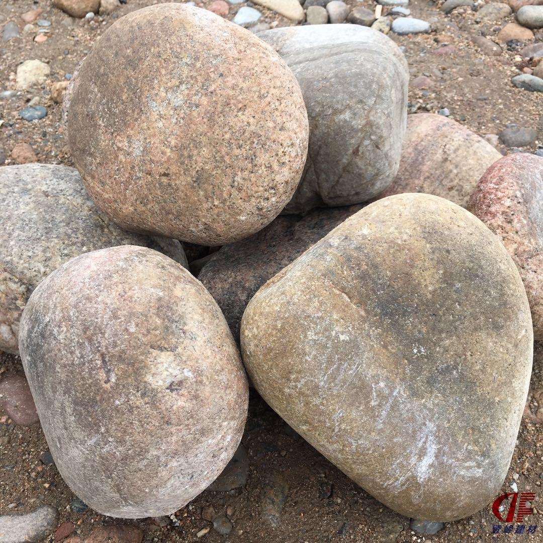 河北登峰厂家批发 刻字鹅卵石 鹅卵石生产厂家 杂色鹅卵石 品质可靠
