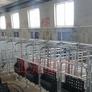 河北沧州，养猪设备厂家 生产  亚冠YG-01   新款母猪定位栏  原装现货