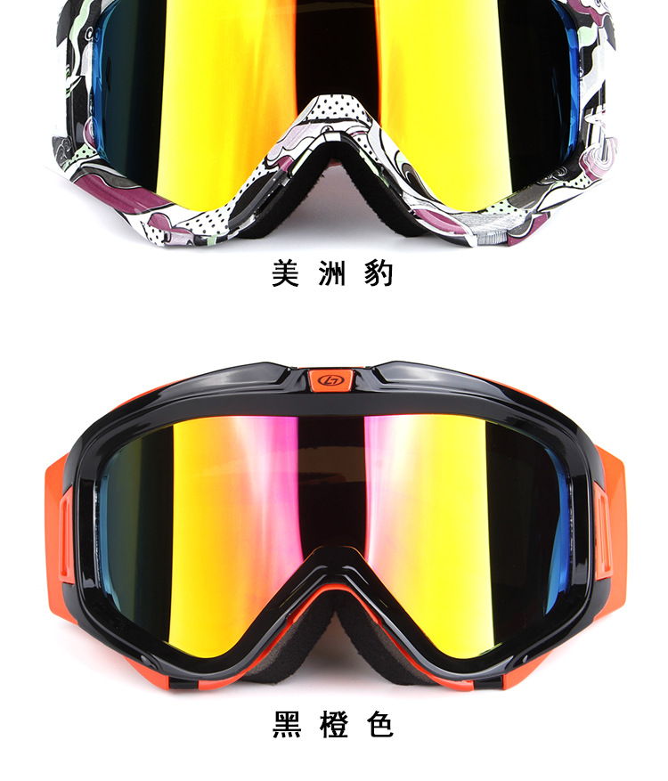 厂家批发欧宝来H007男女新款双层防雾滑雪眼镜摩托镜防风镜示例图12