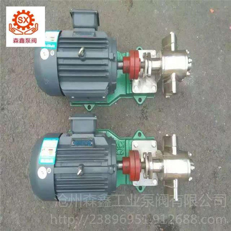 森鑫 304材质化工齿轮油泵 机械设备增压油泵 自吸式齿轮泵