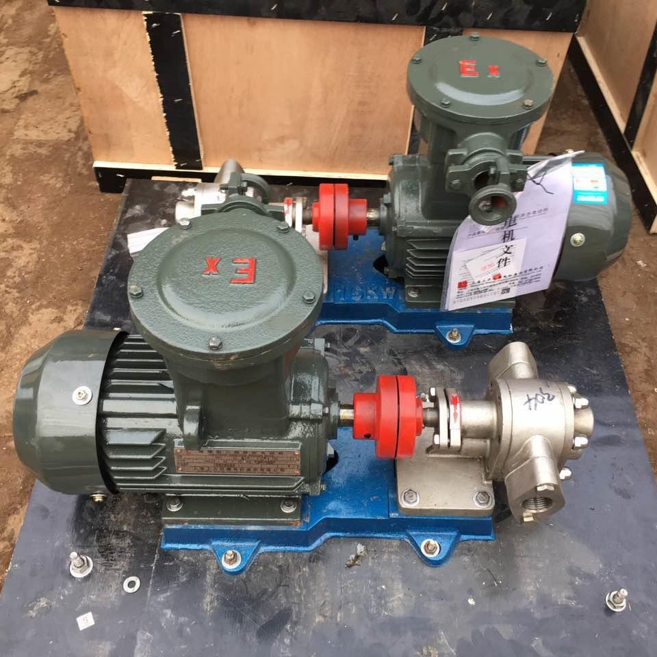 不锈钢齿轮泵 鸿海泵业 KCB-33.3 耐腐蚀齿轮泵 实体厂家 现货供应
