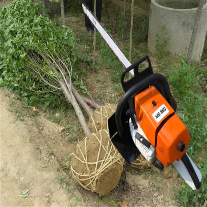 手持式挖树机KM-WSJ 五分钟土球挖树机厂家