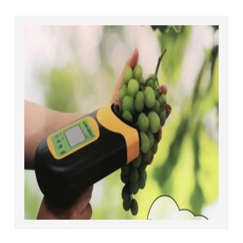 水果糖度无损检测仪/苹果品质检测仪 BD6C-H100F库号：M399056