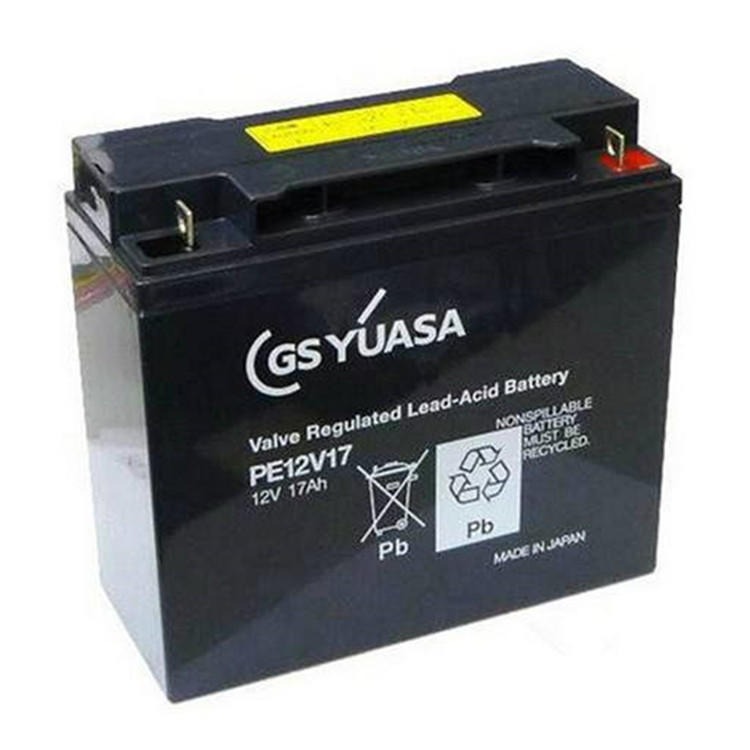 GS YUASA蓄电池NPH16-12T 12V16AH直流屏 UPS EPS 不间断电源