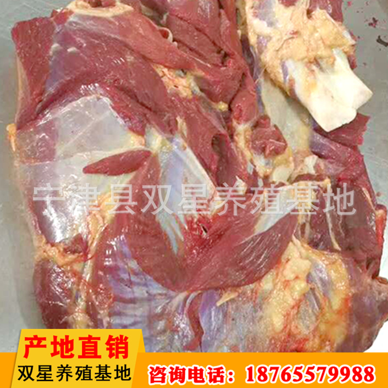厂家直销新鲜马肉 蒙古大草原马后腿肉现杀冷冻 蒙古鲜马肉示例图2