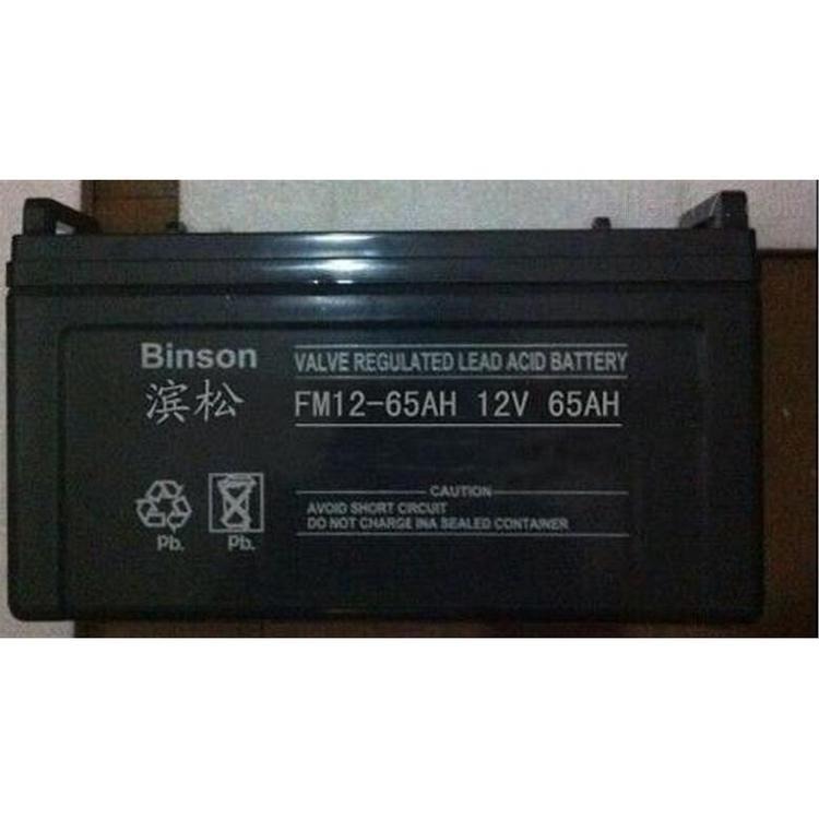 滨松蓄电池FM65-12 滨松12V65AH 阀控式电池免维护 通讯 消防 照明 医疗专用图片