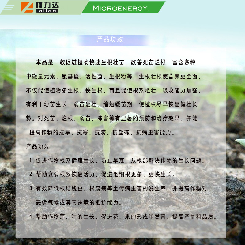 高效氨基酸生根剂 快速生根壮苗 大棚蔬菜专用生根肥料 厂家直销示例图4