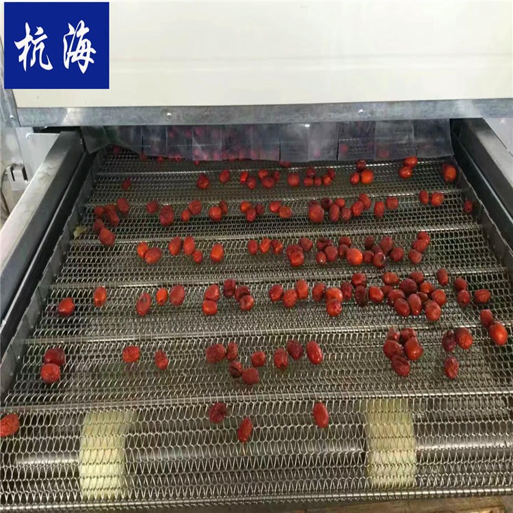 大型连续式农产品烘干机 杭海机械 大枣烘干设备 烘干机生产厂家