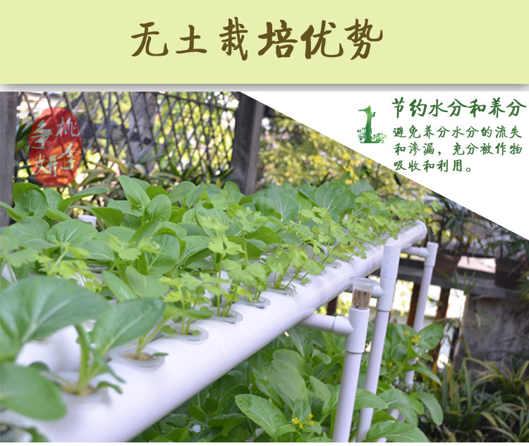 阳台无土栽培 单面四管水培设备 绿色蔬菜种植专用 全自动浇水示例图1