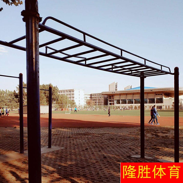 室外云梯健身器材 隆胜体育 大量出售 小区公园广场学校可用 户外健身路径 天梯 云梯