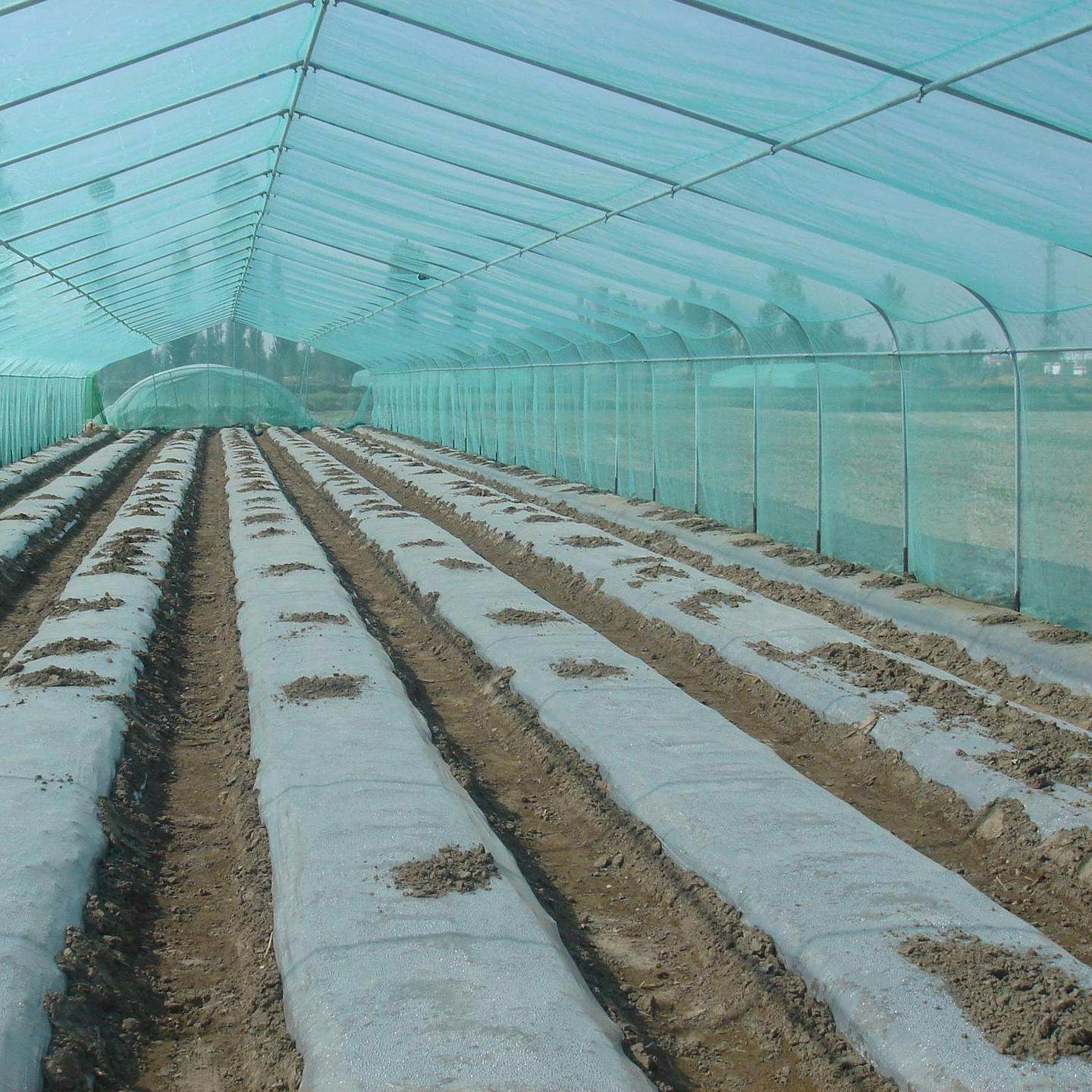 蔬菜育苗大棚建设 定制种植日光薄膜温室建造价 西红柿栽培骨架搭建图片