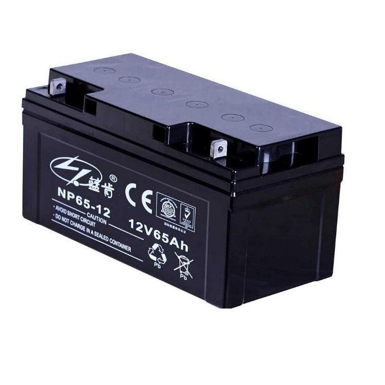 蓝肯蓄电池NP65-12 12V65AH固定密封阀控式蓄电池 UPS专用蓄电池