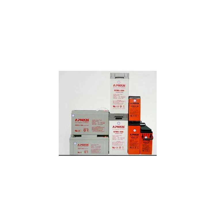 APNKN品克蓄电池FCG12-24光伏发电EPS UPS储能原装蓄电池12V24AH型号规格