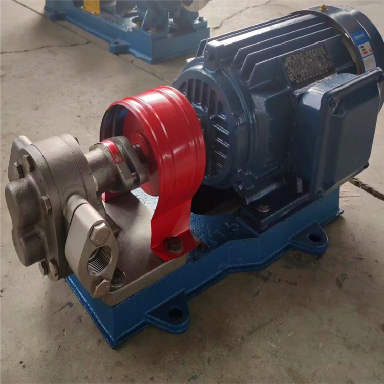 KCB-200不锈钢齿轮油泵 润滑油输送泵 不锈钢材质齿轮泵