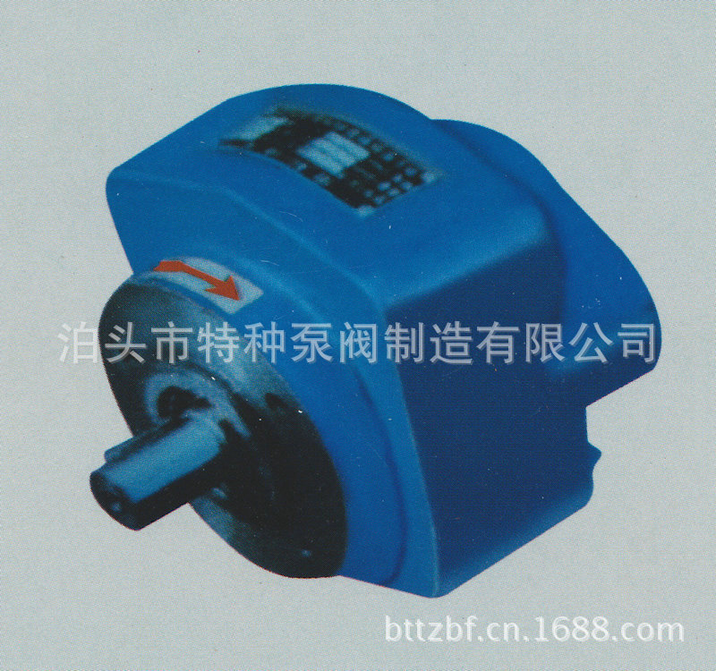 齿轮泵厂供应CB-B(B)系列齿轮泵 微型不锈钢增压泵 润滑齿轮泵示例图32