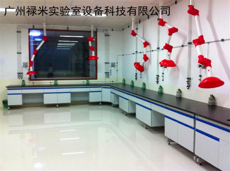 专业生产仪器台 广州仪器台 禄米实验室定制LM-YQT88
