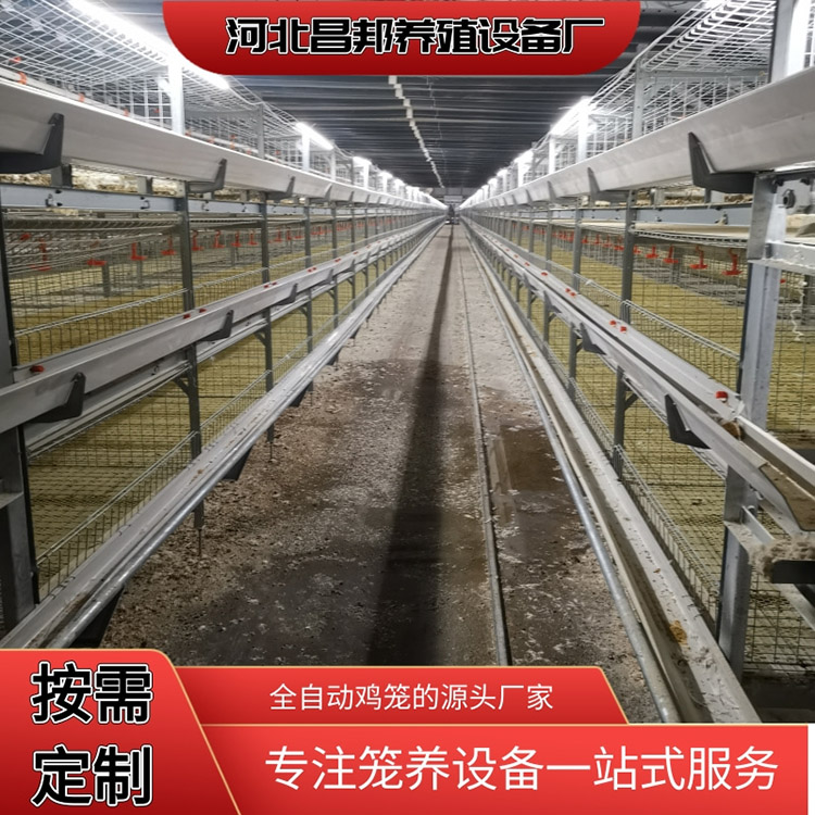 养殖笼具报价 养鸡场笼 昌邦 电镀式育雏肉鸡笼 价格便宜