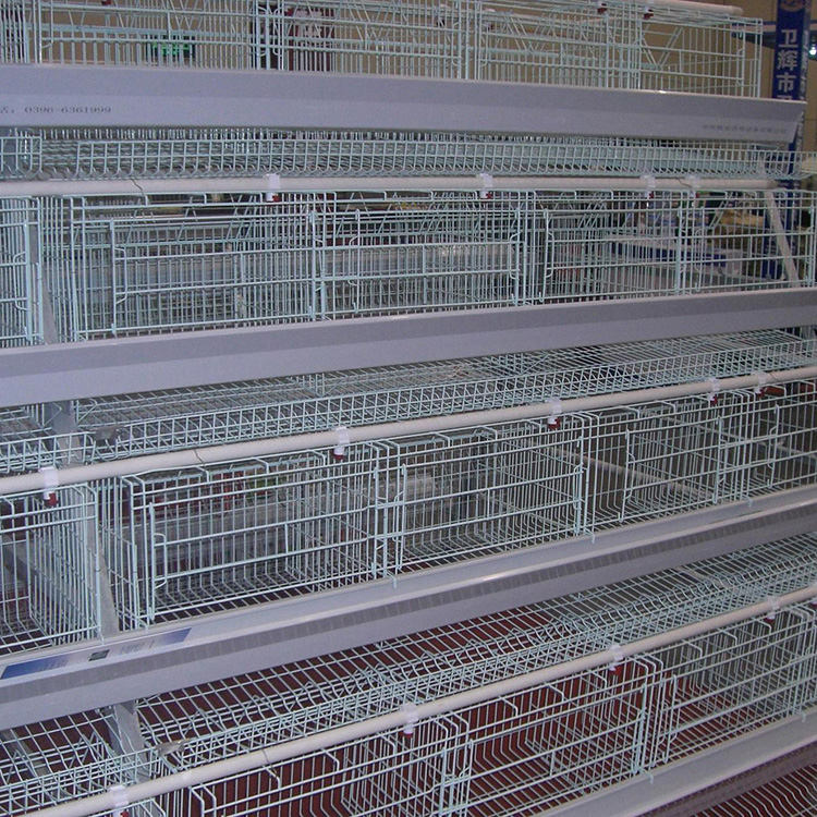肉鸡笼定制 五层蛋鸡笼 昌邦 肉鸡笼价格 包运输