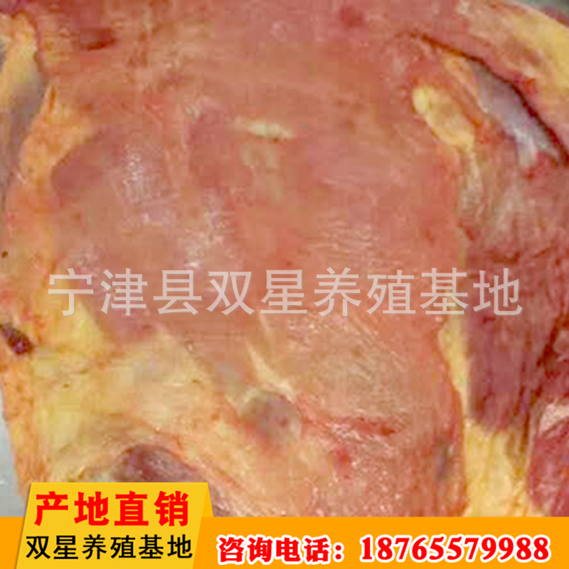 精品批发驴脊骨肉 新鲜驴骨头肉 饭店用生鲜驴肉示例图38