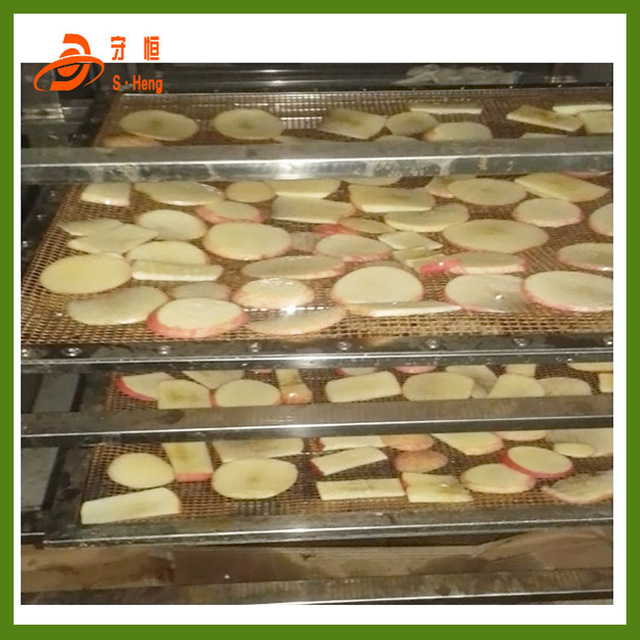 苹果片烘干机 智能全自动苹果干脱水干燥设备 苹果切片水果干燥箱