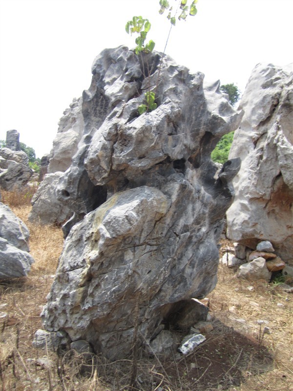 太湖石，广东太湖石，英德太湖石，清远太湖石示例图3