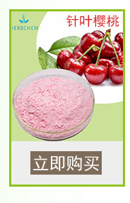 蔓越莓粉 含量99%工厂直销口感浓郁批发果粉原料 水溶蔓越莓果粉示例图13
