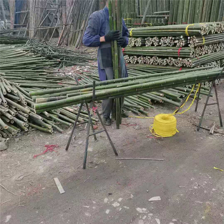 工程绿化树木支撑竹竿 菜竹竿批发便宜