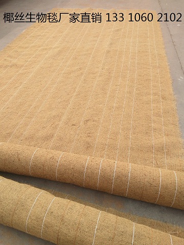 绿化椰丝毯 植物纤维毯 抗冲生物毯 植被毯 河道绿化椰丝毯