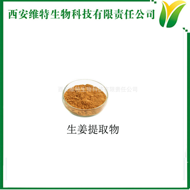 生姜提取物 5：1 生姜粉 ginger extract 姜比例提取粉 生姜水溶粉