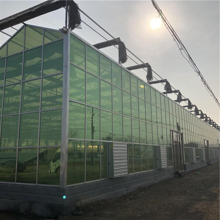 文洛型玻璃温室建设 钢管温室 蔬菜保温大棚 博伟 BW