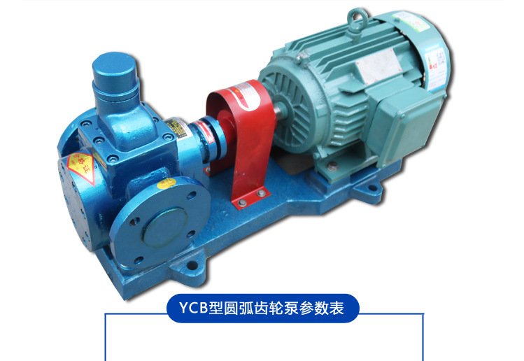 厂家供应 YCB系列圆弧泵 铸铁YCB10电动泵低噪运行大流量齿轮油泵示例图11