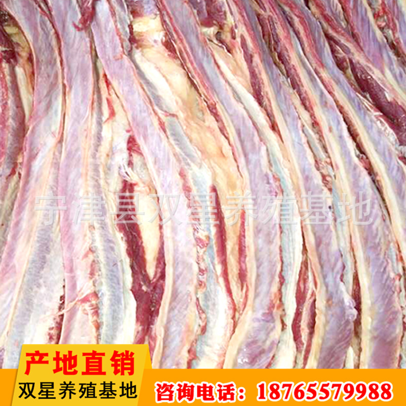 批发供应蒙古马鲜马肉 活马屠宰新鲜营养肋条肉 肉质鲜美进口马肉示例图18