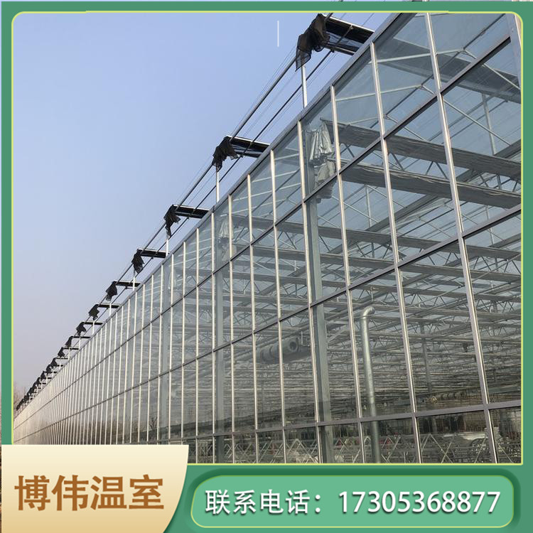 玻璃温室大棚厂家厂家 蔬菜智能温室 鸟巢温室大棚 博伟 BW