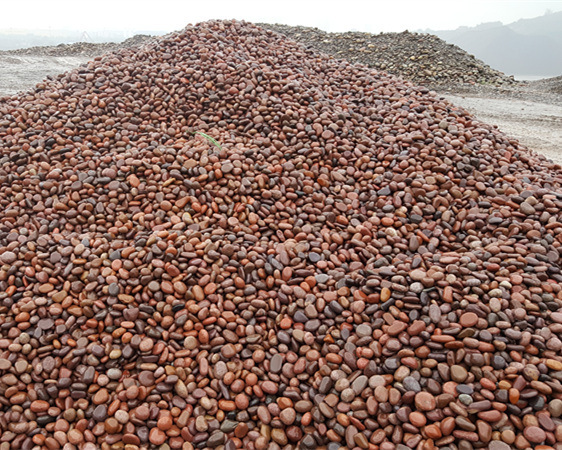 鹅卵石批发_鹅卵石]重庆_西部大型鹅卵石批发厂家欢迎订购。图片
