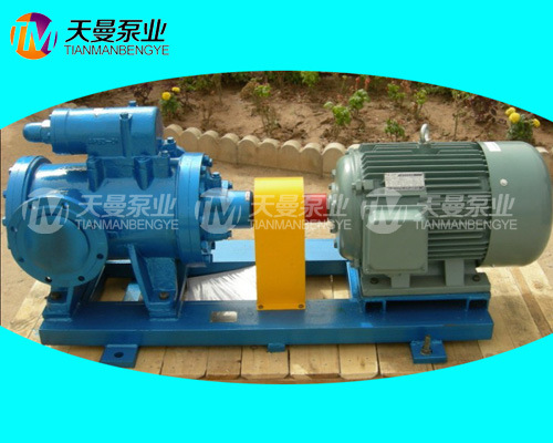 3GrH100×2-46U12.1W2川润稀油站螺杆泵备件现货供应示例图1