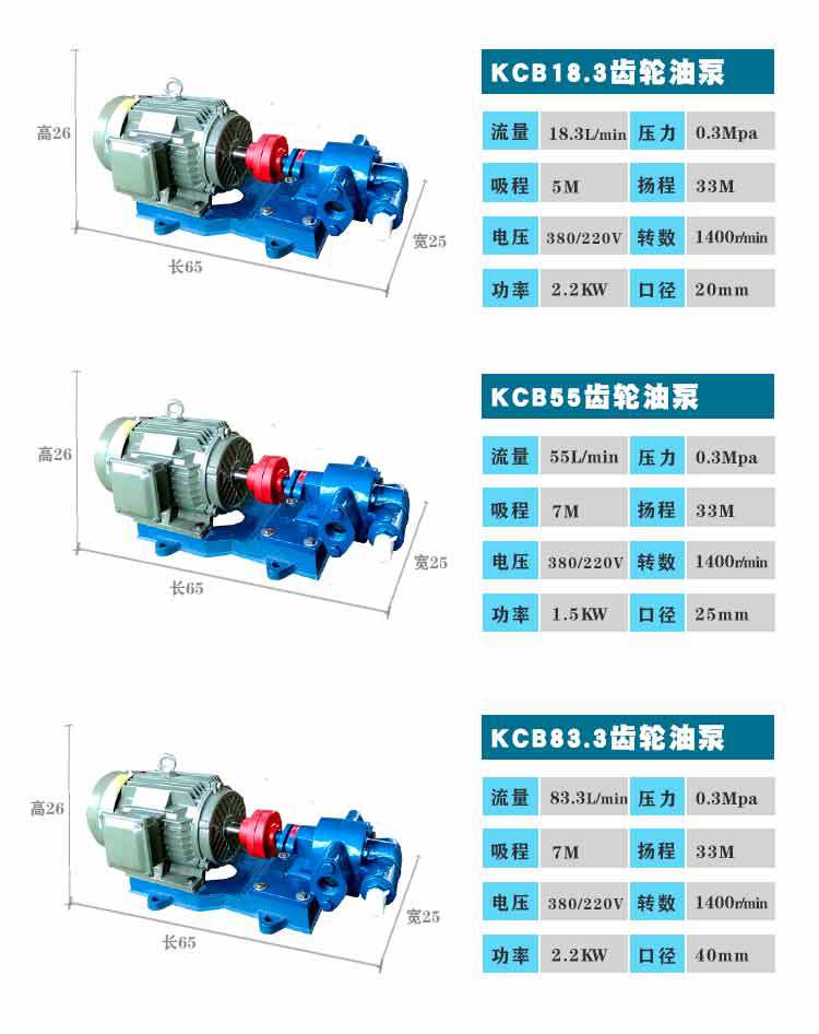 供应kcb33.3微型润滑油齿轮泵小流量耐磨铸铁管道齿轮油泵示例图6