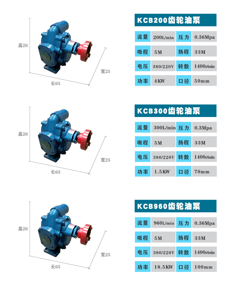 厂家批发 齿轮式抽油泵kcb-300燃油机油输送泵 kcb300齿轮泵示例图6