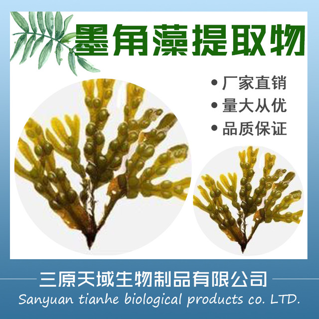 陕西新天域生物 墨角藻提取物 墨角藻浸膏粉 现货供应图片