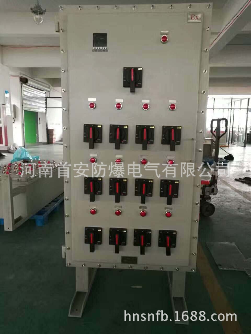防爆温控箱 电伴热系统防爆控制箱 滁州防爆控制柜示例图3