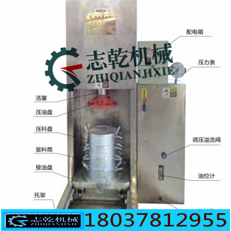 液压芝麻榨油机 香油机 立式全自动榨油机 优质榨油设备示例图11