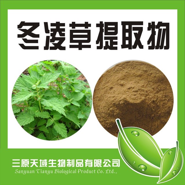 陕西新天域生物 厂家供应冬凌草提取物 含量10:1 植物提取物  品质保证图片