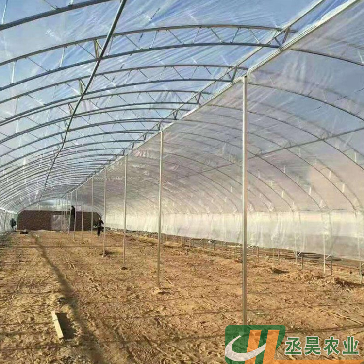 丞昊农业供应 青海 草莓种植 C型钢温室 质量保证