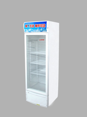 厂家直销立式冷菜柜商用饮料保鲜冷藏柜商用立式展示柜可定制
