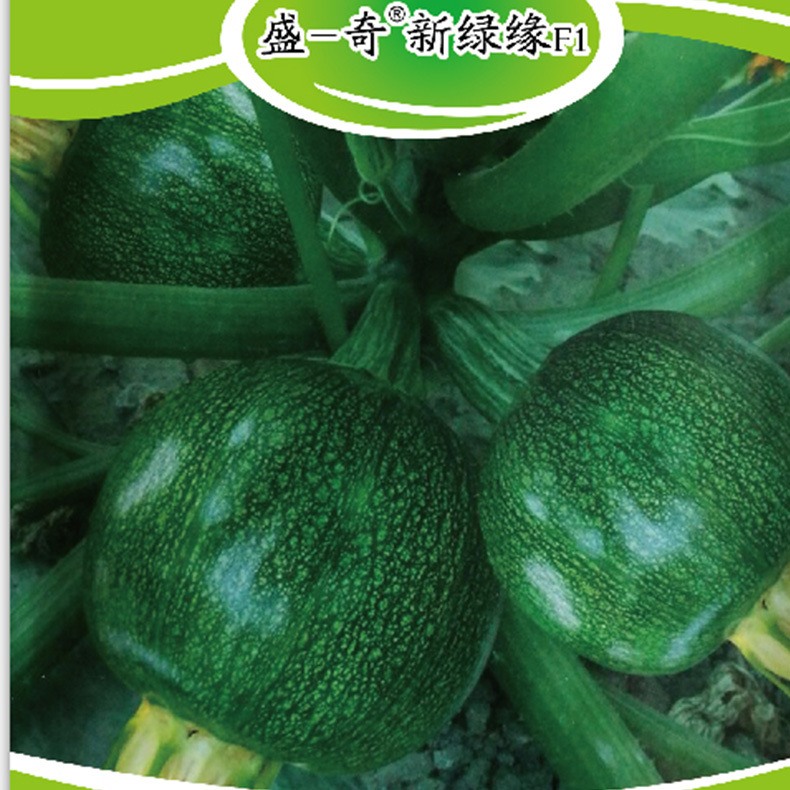 南瓜种子 厂家批发南瓜种子 蔬菜种子 高产南瓜种子图片
