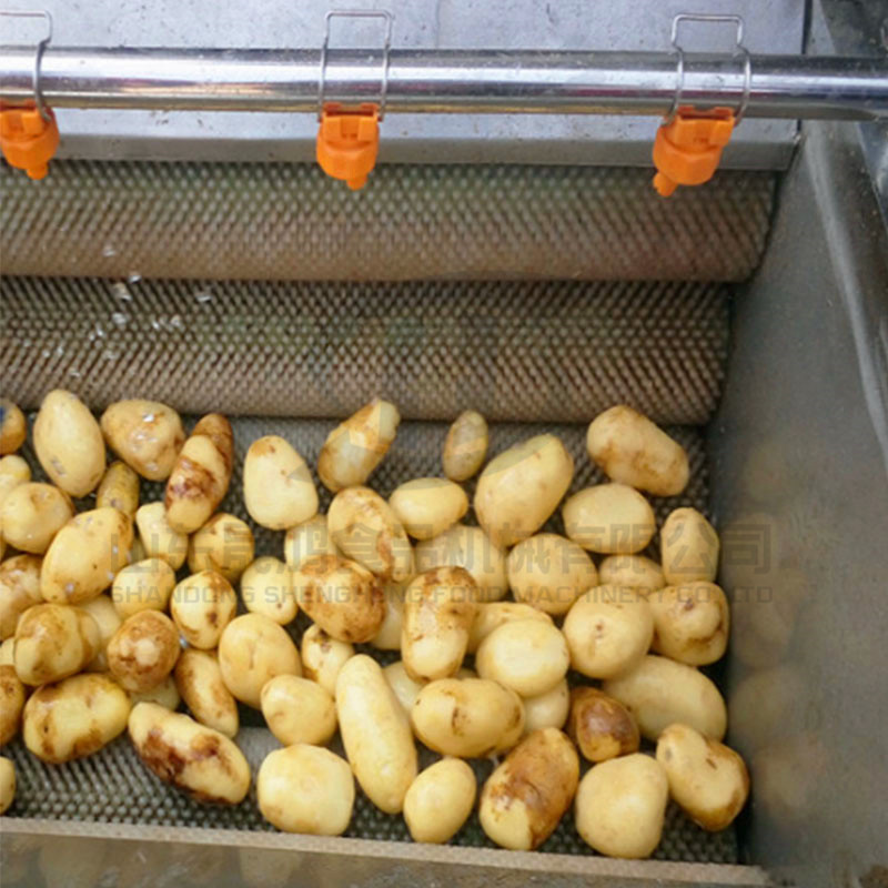 土豆毛刷清洗机 大姜不锈钢毛刷清洗机 红薯地瓜毛辊清洗机示例图7